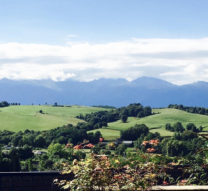 Gîtes de La Maison Bleue d'Estialescq Eksteriør billede