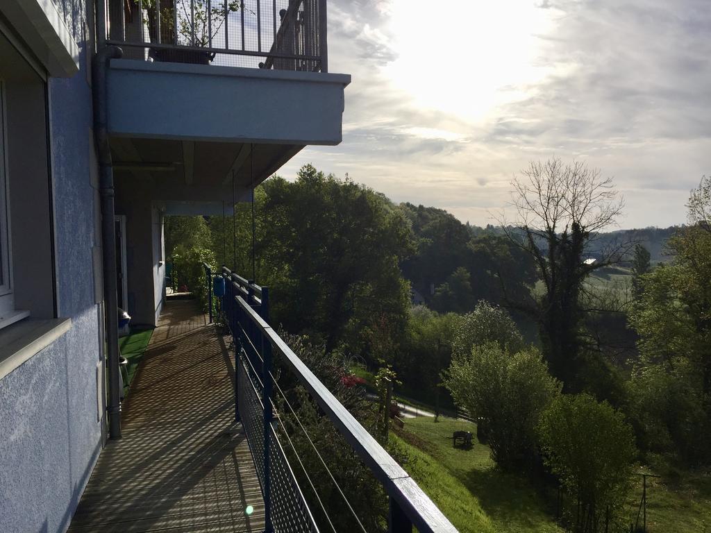 Gîtes de La Maison Bleue d'Estialescq Eksteriør billede